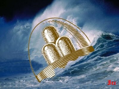 TORNI A BORDO CAZZO!!!