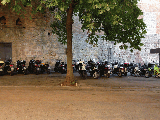 Via Malta per il palio di Luglio. Via i residenti avanti i motorini