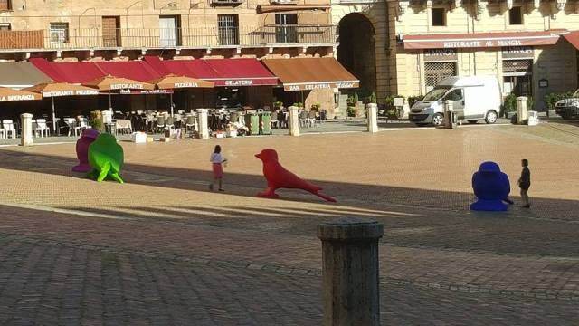 11896090_10206841421708275_5038212280869725658_n