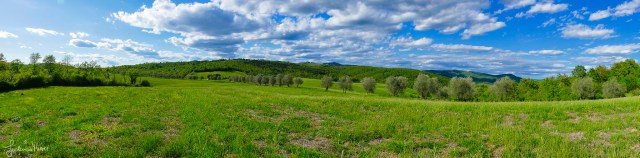 34116417985_c6467f2074_k